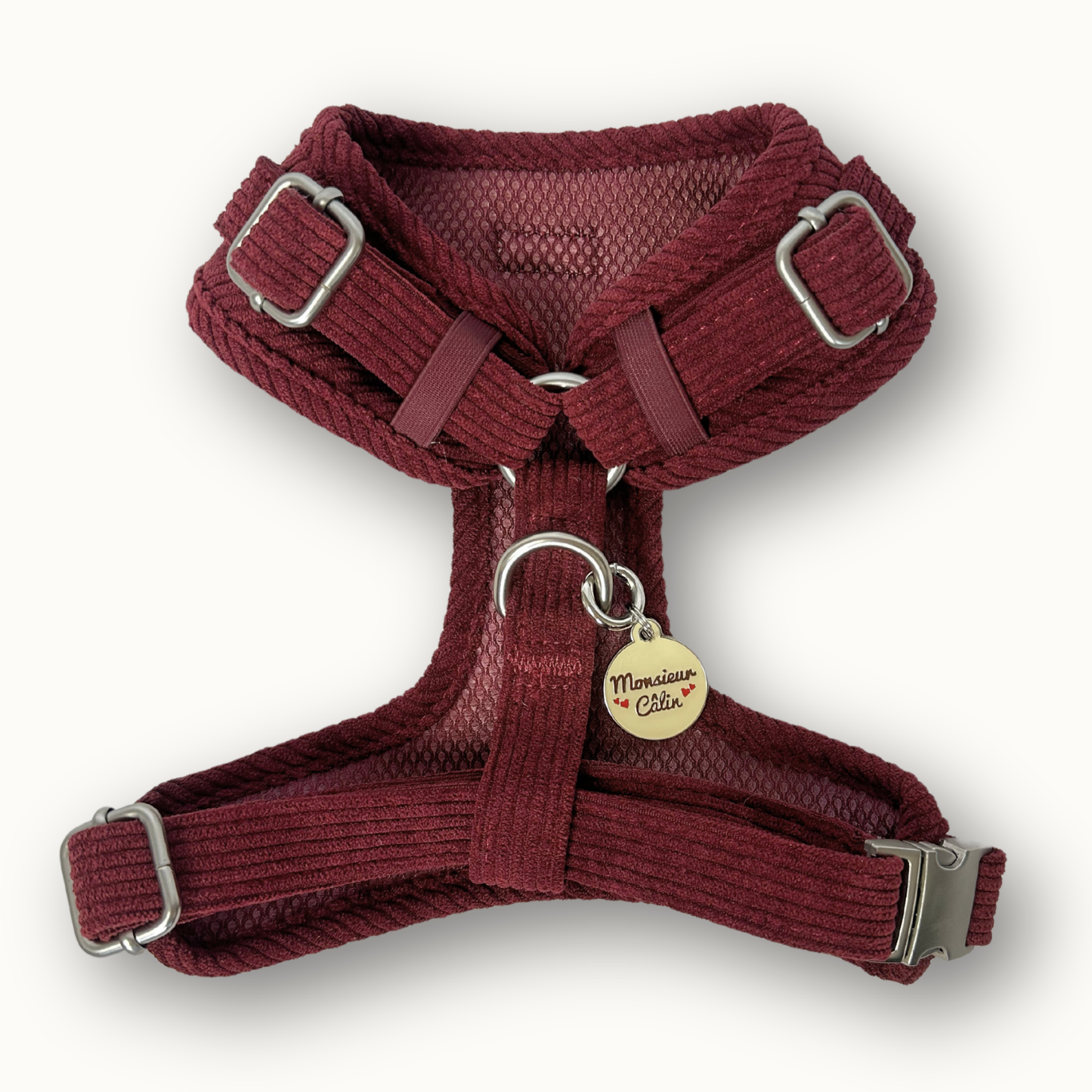 Médailles personnalisées pour chien - Doggy Charms