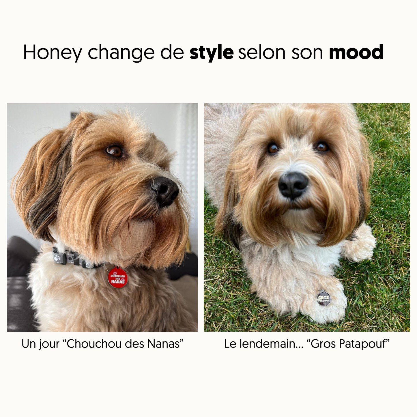 Médailles personnalisées pour chien - Doggy Charms