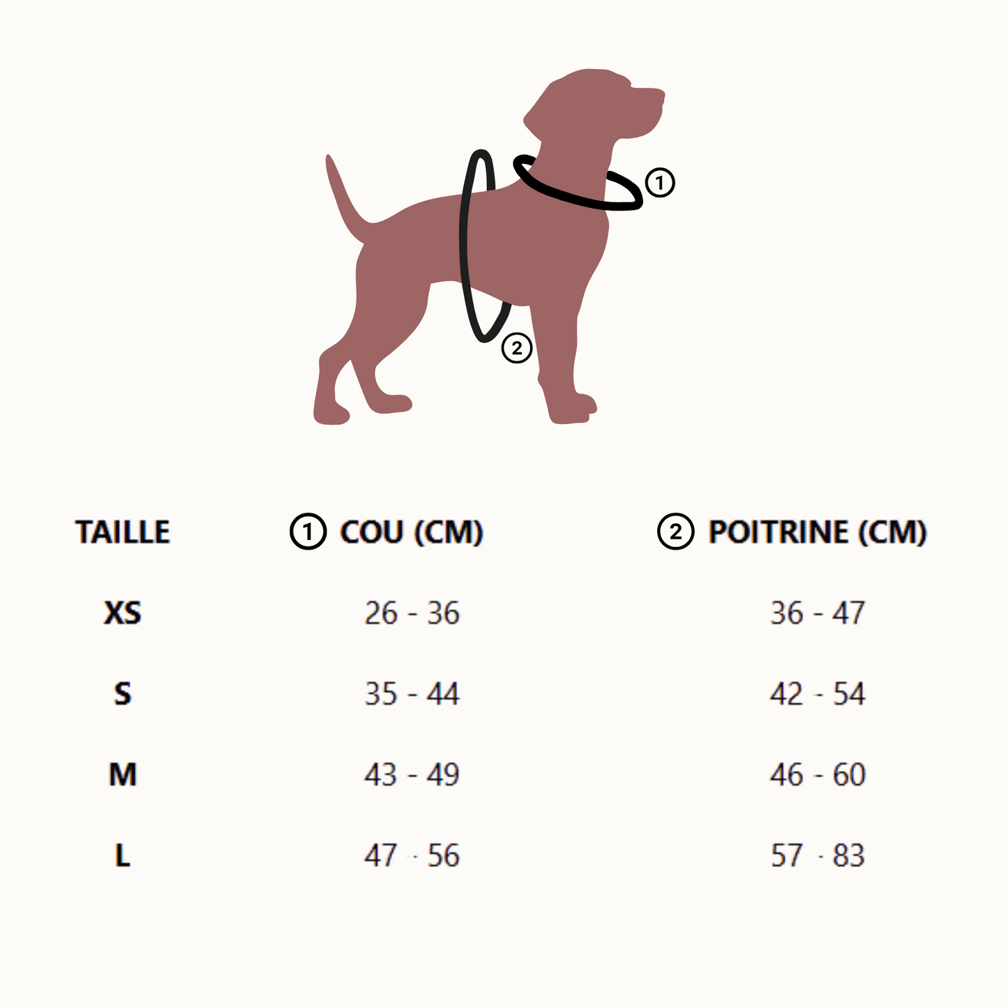 Médailles personnalisées pour chien - Doggy Charms
