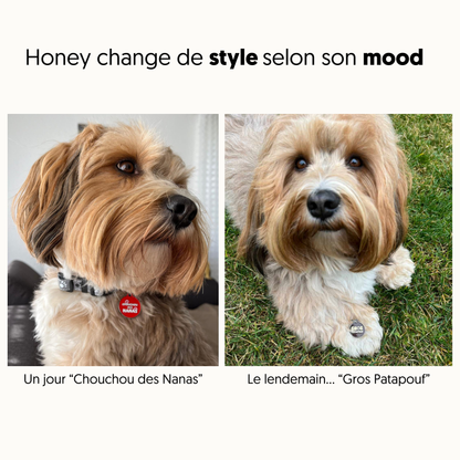 Médailles personnalisées pour chien - Doggy Charms