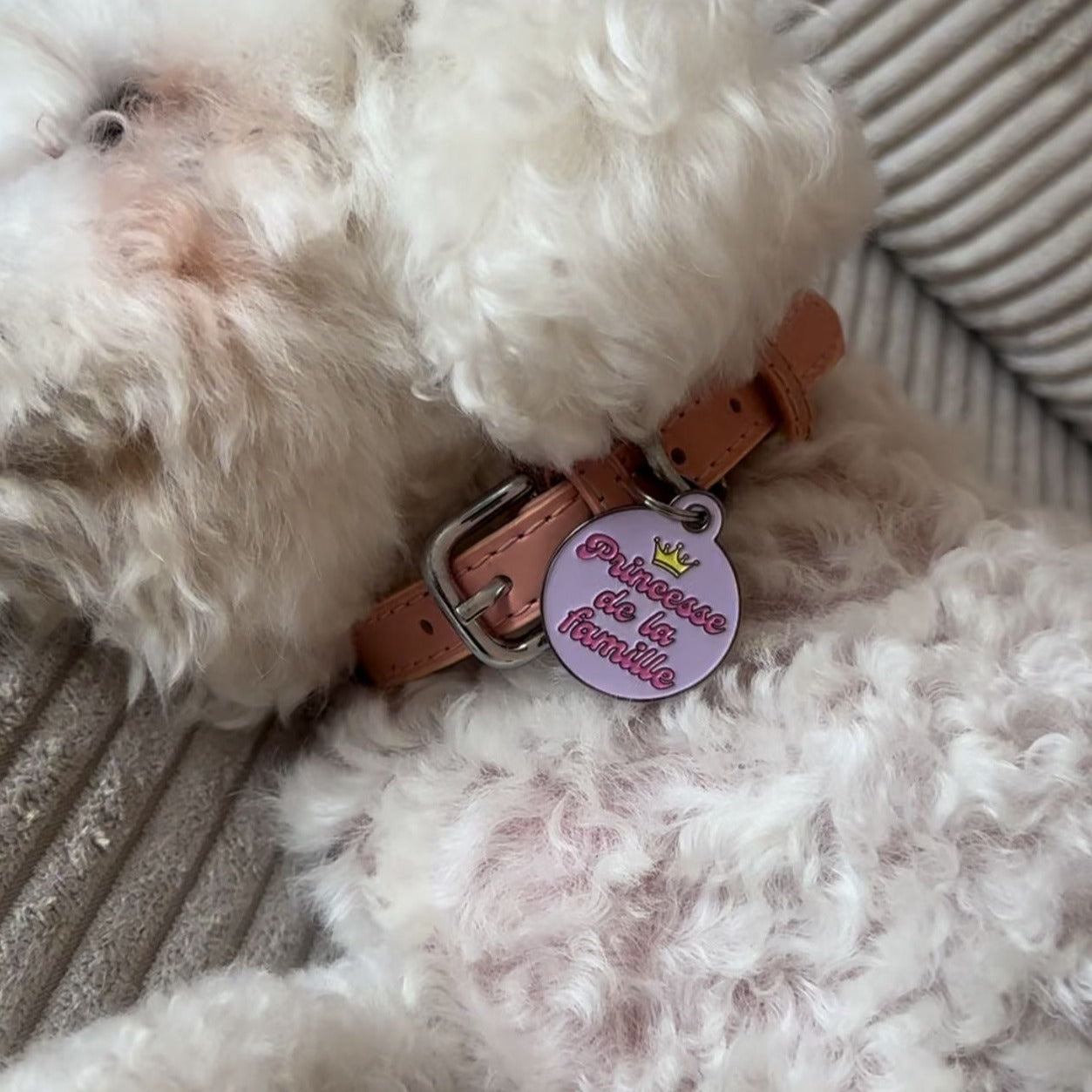 Médailles personnalisées pour chien - Doggy Charms